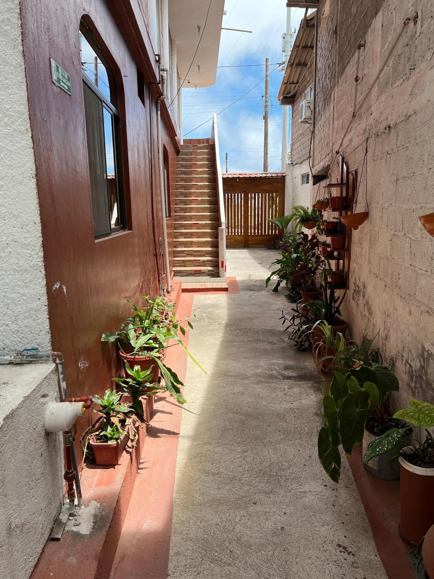 Hostal Cattleya Puerto Baquerizo Moreno Esterno foto